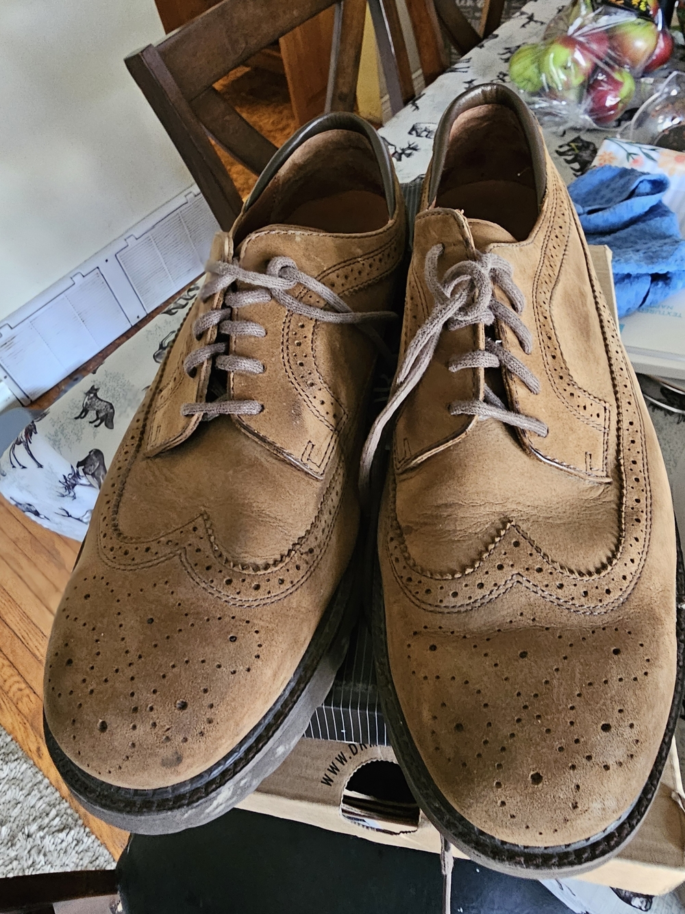 Franco Fortini Black and Orange Price-Label Men’s Oxfords Box
